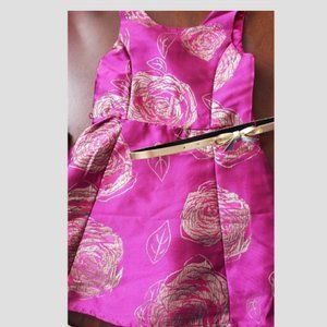 Toddler Girls size 6 Pink Dress Childrens Place